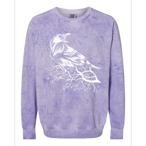 Halloween Bird Creepy Gift Raven Bird Animal Crow Colorblast Crewneck Sweatshirt