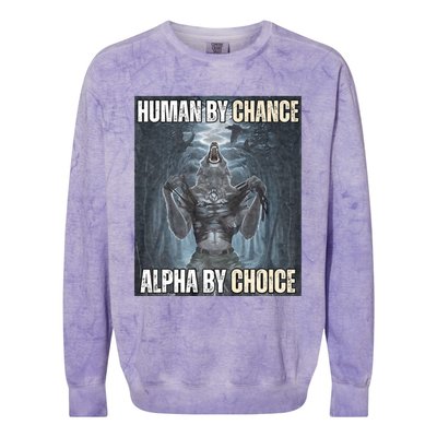 Human By Chance Alpha By Choice Cool Funny Alpha Wolf Meme Colorblast Crewneck Sweatshirt