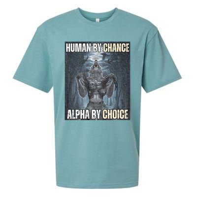 Human By Chance Alpha By Choice Cool Funny Alpha Wolf Meme Sueded Cloud Jersey T-Shirt