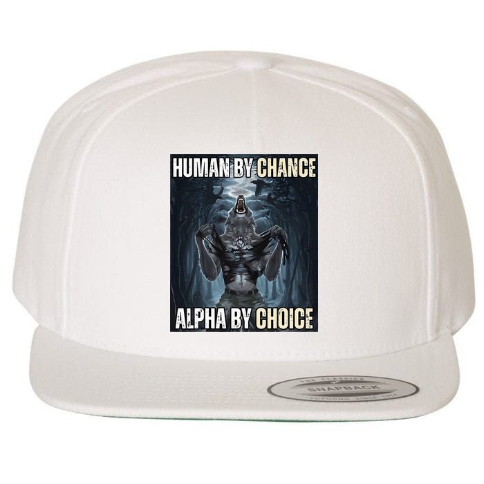 Human By Chance Alpha By Choice Cool Funny Alpha Wolf Wool Snapback Cap
