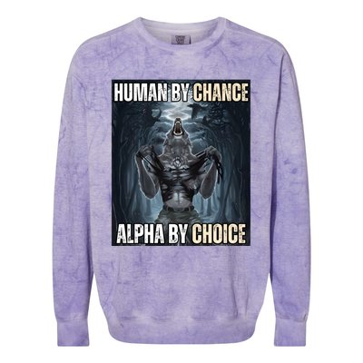 Human By Chance Alpha By Choice Cool Funny Alpha Wolf Meme Colorblast Crewneck Sweatshirt