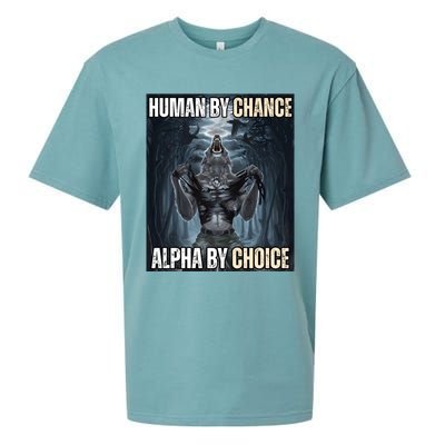 Human By Chance Alpha By Choice Cool Funny Alpha Wolf Meme Sueded Cloud Jersey T-Shirt