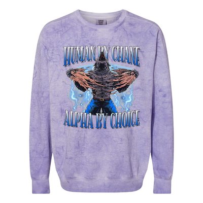 Human By Chance Alpha By Choice Cool Funny Alpha Wolf Meme Colorblast Crewneck Sweatshirt