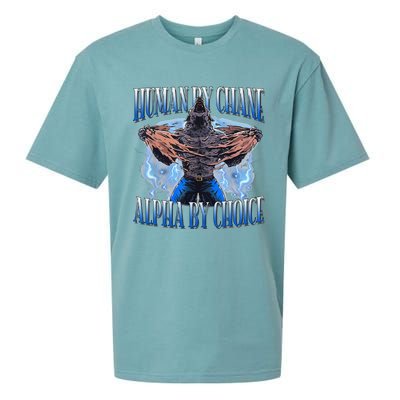 Human By Chance Alpha By Choice Cool Funny Alpha Wolf Meme Sueded Cloud Jersey T-Shirt