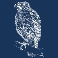 Hawk Bird Cool Novelty Cooling Performance Crew T-Shirt
