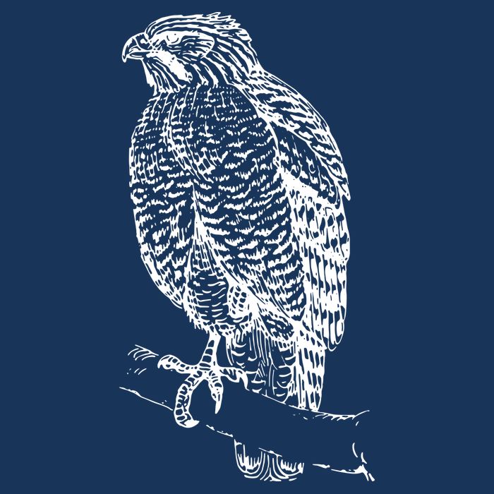 Hawk Bird Cool Novelty Cooling Performance Crew T-Shirt