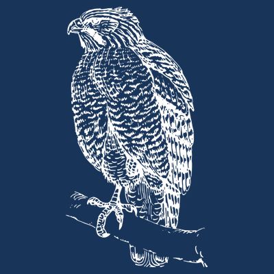 Hawk Bird Cool Novelty T-Shirt