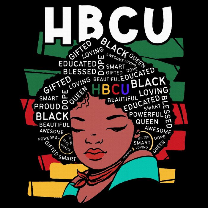 Historical Black College HBCU  Womens T-Shirt
