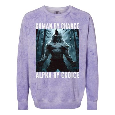 Human By Chance Alpha By Choice Alpha Wolf Meme Graphic Gift Colorblast Crewneck Sweatshirt