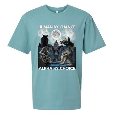 Human By Chance Alpha By Choice Wolf Vintage Sueded Cloud Jersey T-Shirt