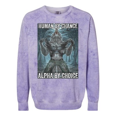 Human By Chance Alpha By Choice Cool Funny Alpha Wolf Meme Colorblast Crewneck Sweatshirt