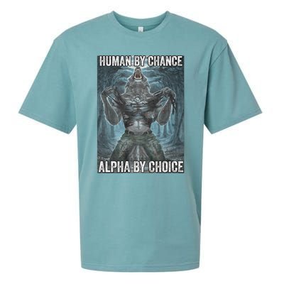 Human By Chance Alpha By Choice Cool Funny Alpha Wolf Meme Sueded Cloud Jersey T-Shirt