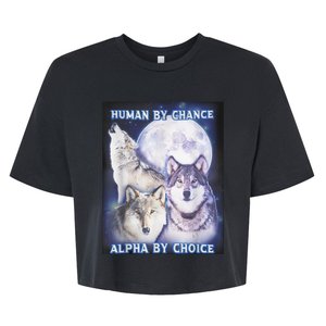 Human By Chance Alpha By Choice Alpha Wolf Bella+Canvas Jersey Crop Tee