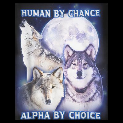 Human By Chance Alpha By Choice Alpha Wolf T-Shirt