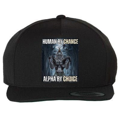 Human By Chance Alpha By Choice Cool Funny Alpha Wolf Meme Wool Snapback Cap