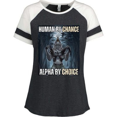 Human By Chance Alpha By Choice Cool Funny Alpha Wolf Meme Enza Ladies Jersey Colorblock Tee