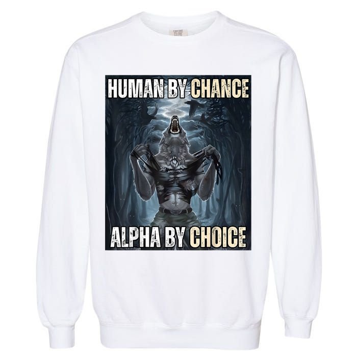Human By Chance Alpha By Choice Cool Funny Alpha Wolf Meme Garment-Dyed Sweatshirt