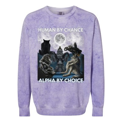 Human By Chance Alpha By Choice Wolf Vintage Colorblast Crewneck Sweatshirt