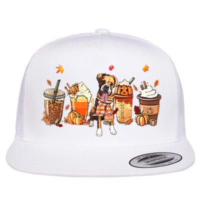 Halloween Boxer Dog Fall Coffee Pumpkin Spice Latte Flat Bill Trucker Hat