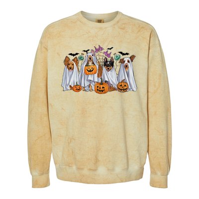 Halloween Boo Dogs Ghost Pumpkins Spooky Dog Lover Outfit Colorblast Crewneck Sweatshirt