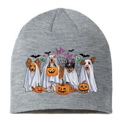 Halloween Boo Dogs Ghost Pumpkins Spooky Dog Lover Outfit Sustainable Beanie