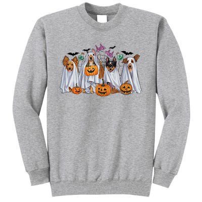 Halloween Boo Dogs Ghost Pumpkins Spooky Dog Lover Outfit Tall Sweatshirt