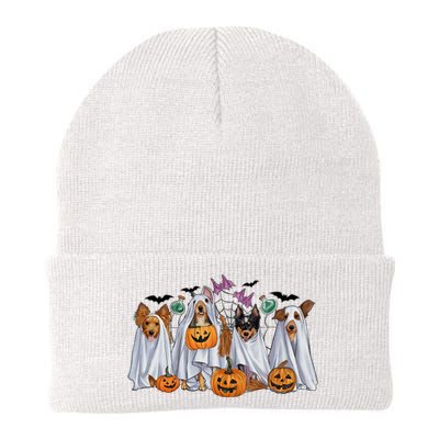 Halloween Boo Dogs Ghost Pumpkins Spooky Dog Lover Outfit Knit Cap Winter Beanie