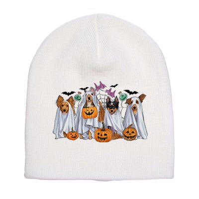 Halloween Boo Dogs Ghost Pumpkins Spooky Dog Lover Outfit Short Acrylic Beanie