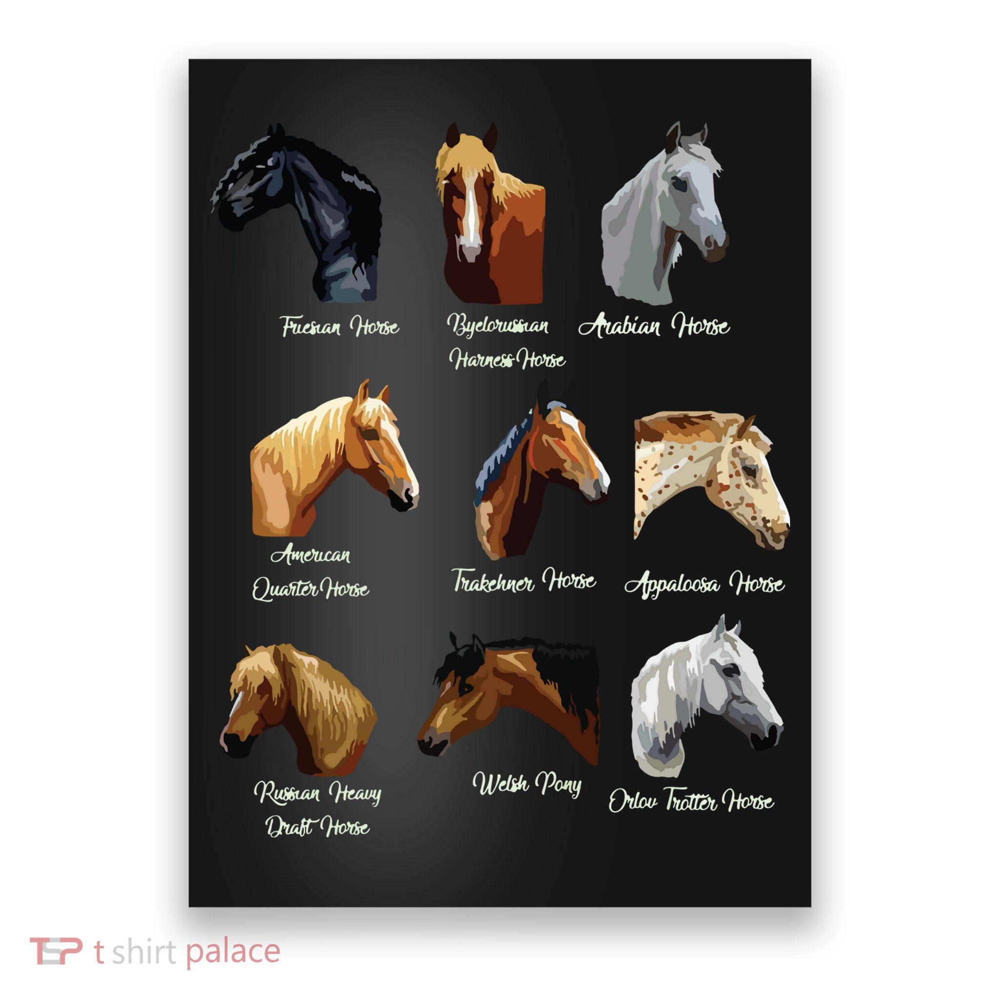 Horse Breeds Equestrian Horseback Riding Gift Poster