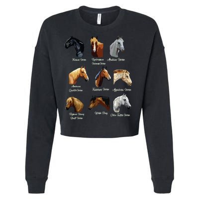 Horse Breeds Equestrian Horseback Riding Gift Cropped Pullover Crew