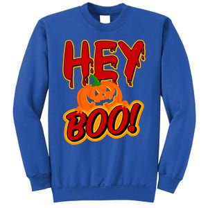 Hey Boo Funny Halloween Pun Ghost Spooky Funny Gift Sweatshirt