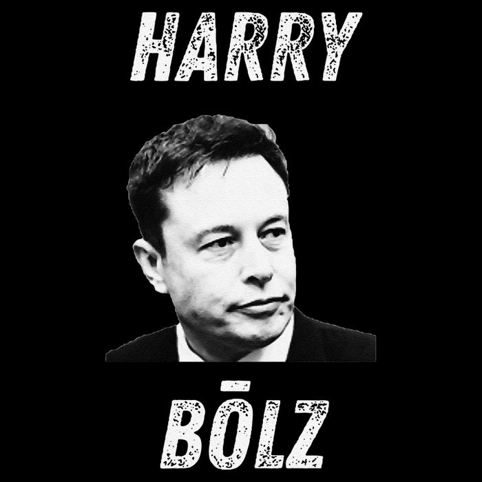Harry Bolz Funny Meme Big Balls Viral Trending Parody 16 in Basic Backpack