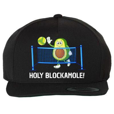 Holy Blockamole Funny Volleyball Lover Wool Snapback Cap