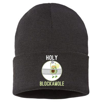 Holy Blockamole Funny Volleyball Block Avocado Teen Sustainable Knit Beanie