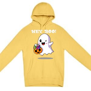 Hey Boo Ghost Trick Or Treat Funny Gift Premium Pullover Hoodie