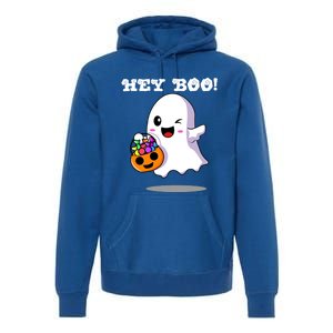 Hey Boo Ghost Trick Or Treat Funny Gift Premium Hoodie