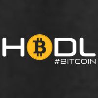 Hodl Bitcoin 7 Panel Mesh Trucker Snapback Hat