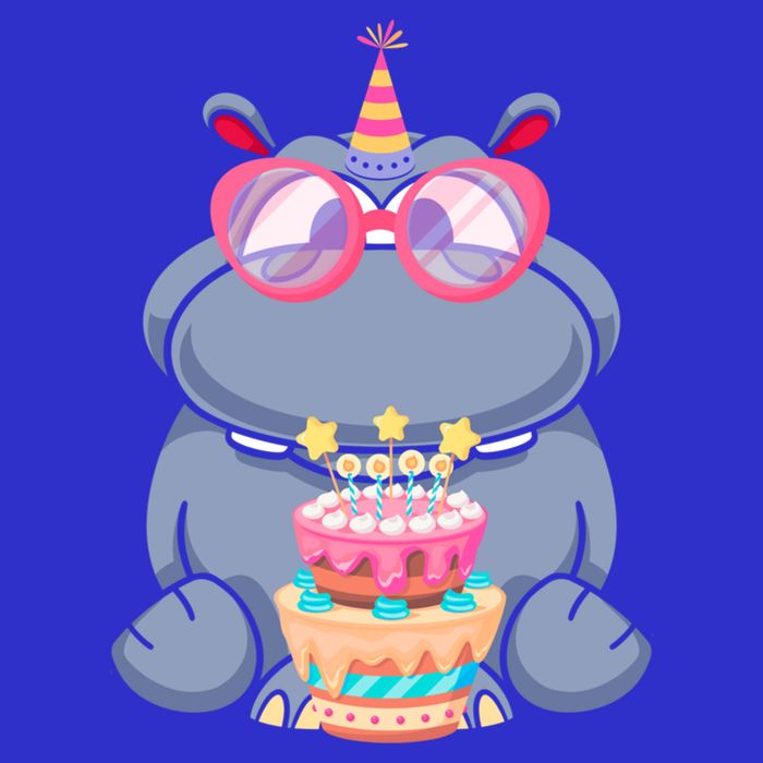 Hippopotamus Birthday Hippo Gift Zip Tote Bag