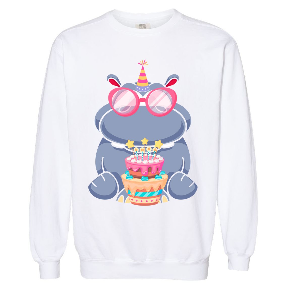 Hippopotamus Birthday Hippo Gift Garment-Dyed Sweatshirt