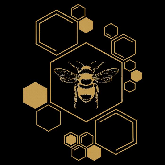 Honey Bee Hive Honeycomb Beekeeping Beekeeper Gift Backpack