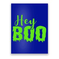 Hey Boo Halloween Costume Gift Poster