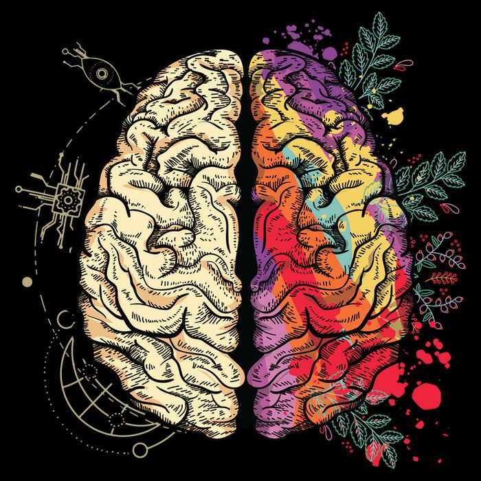 Human Brain Bag