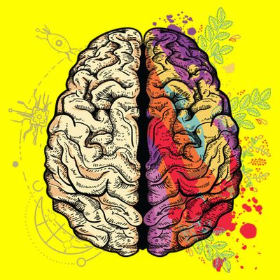 Human Brain T-Shirt
