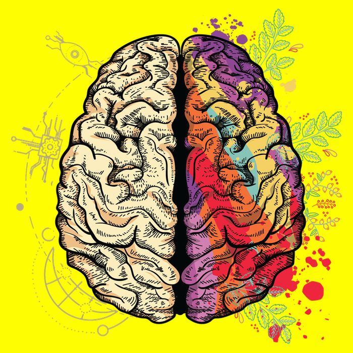 Human Brain Button