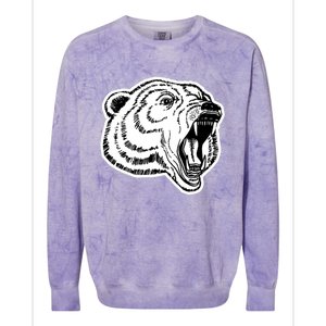 Hastings Bears Colorblast Crewneck Sweatshirt