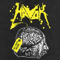 Havok Band Adult Drive Performance Visor
