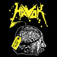 Havok Band Bag