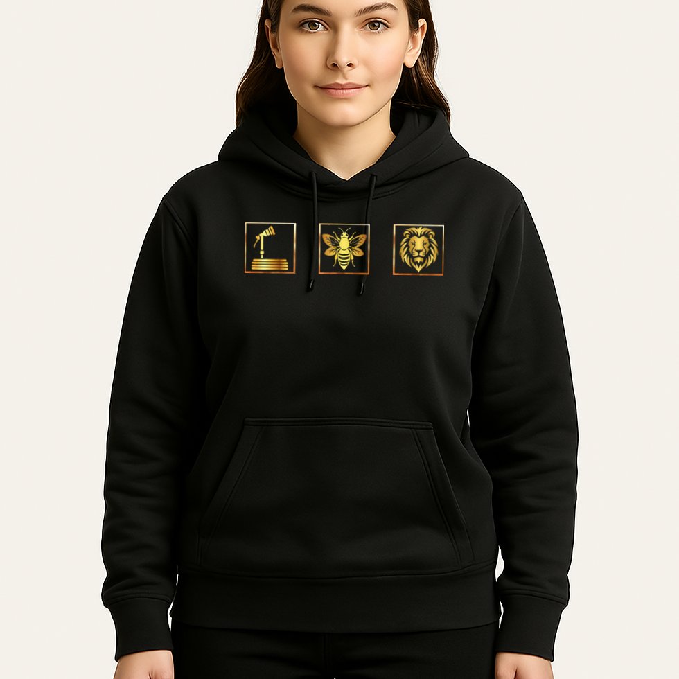 Hose Bee Lion Funny Hoes Be Lying Intended Hoodie