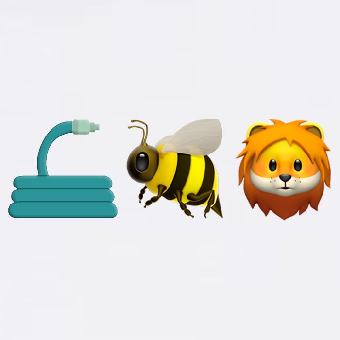 Hose Bee Lion Emoji Womens T-Shirt