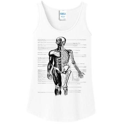 Human Body Muscle Anatomy Hospital funny nurse day Ladies Essential Tank